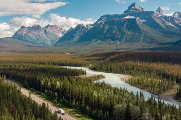 Icefields Parkway mit dem Wohnmobil – der befahrbare Traum Kanadas