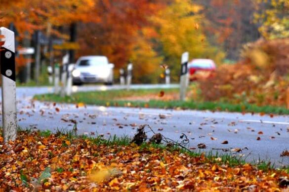 6 Tipps für sicheres Autofahren im Herbst