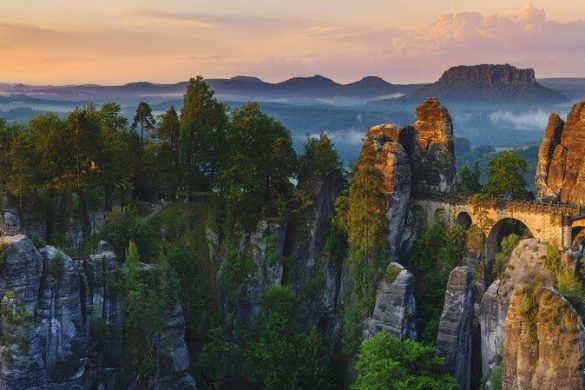 Nationalparks in Deutschland: unberührte Natur vor der Haustür