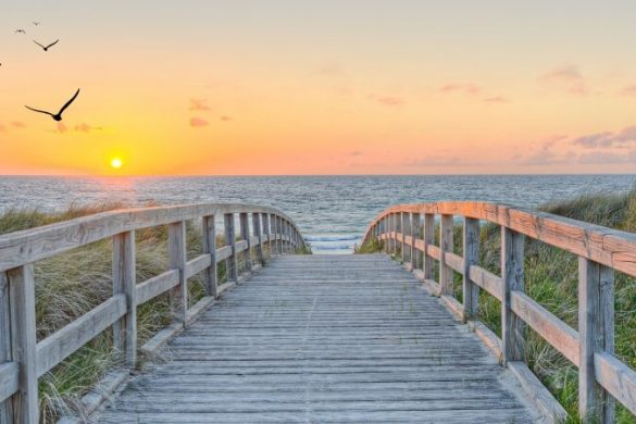 Die 6 schönsten Strände auf Fehmarn