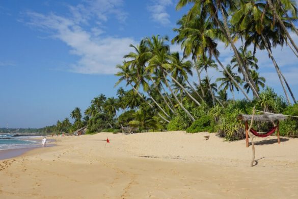 10 traumhafte Strände in Sri Lanka: von Must-See bis Geheimtipp