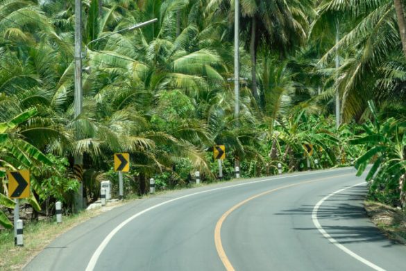 Thailand-Reisetipps von Anreise bis Zähneputzen