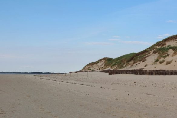 Perle der Nordsee: die 3 schönsten Strände auf Amrum