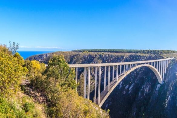 Nervenkitzel pur: Bungee-Jumping in Südafrika