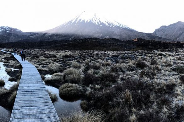 NZ streets are different: gelassen durch Neuseeland (Teil 1)