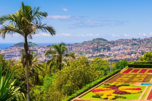 Madeira-Rundreise-Tipps: mit dem Auto über die Blumeninsel