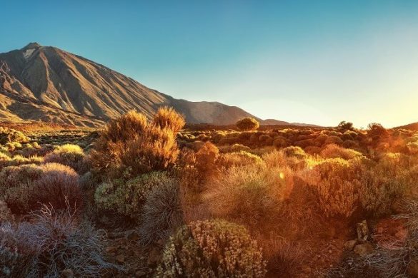 Teneriffas Sehenswürdigkeiten: Das dürfen Sie nicht verpassen!