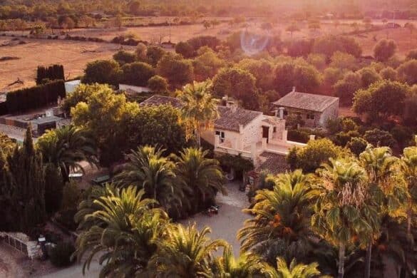 Mallorca-Unterkünfte: Tipps für tierisch gute Finca-Hotels off the beaten path