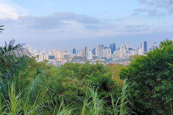 Mein Panama-Reisebericht: 19 Tage unterwegs mit Mietwagen und Bus